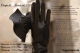 Thumbnail Omega srl by fingerkleid.de_Handmade from the ''World Capital of the glove'' Naples, Italy_Fingerkleid.de_&_Hemmo_Schuhe_und_Lederwaren_Weißwasser